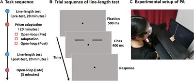 How Does Attention Alter Length Perception? A Prism Adaptation Study